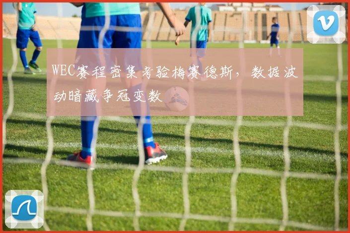 WEC赛程密集考验梅赛德斯，数据波动暗藏争冠变数 - 百度体育推荐
