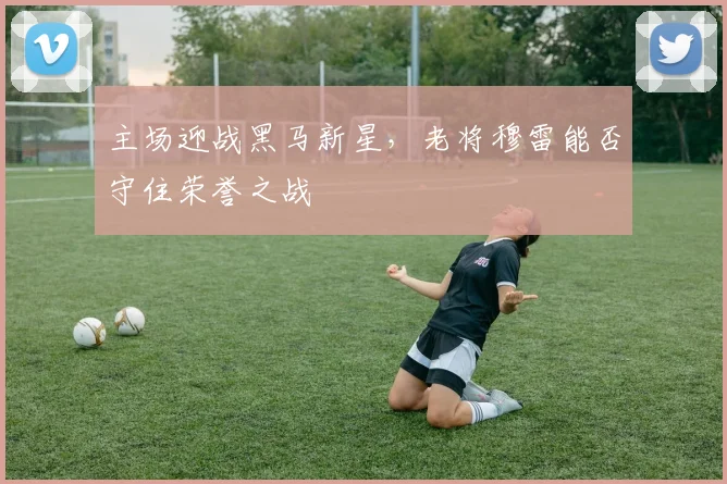 主场迎战黑马新星，老将穆雷能否守住荣誉之战 - 百度体育推荐