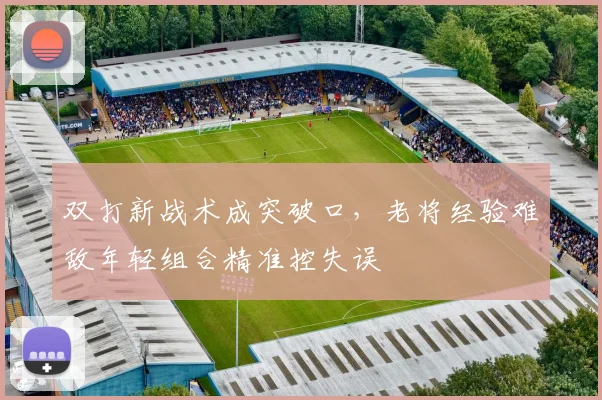 双打新战术成突破口,老将经验难敌年轻组合精准控失误 - 百度体育推荐