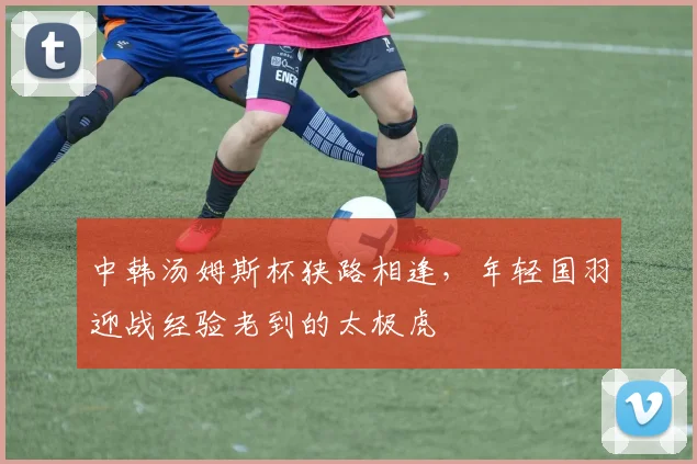 中韩汤姆斯杯狭路相逢，年轻国羽迎战经验老到的太极虎 - 百度体育推荐