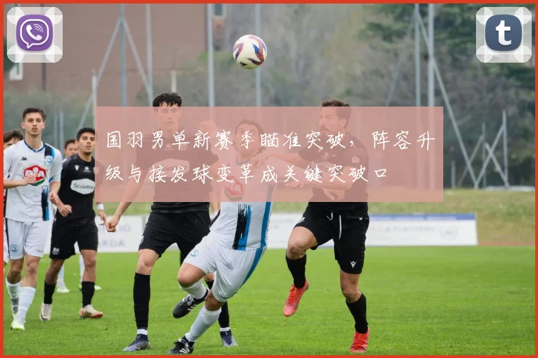 国羽男单新赛季瞄准突破，阵容升级与接发球变革成关键突破口 - 百度体育推荐