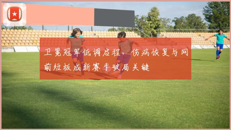 卫冕冠军低调启程，伤病恢复与网前短板成新赛季破局关键 - 百度体育推荐